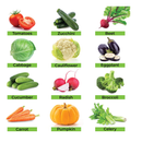 Heirloom Vegetable Seeds | 100% Non-GMO - 1000 Garden Seeds Survival Pack