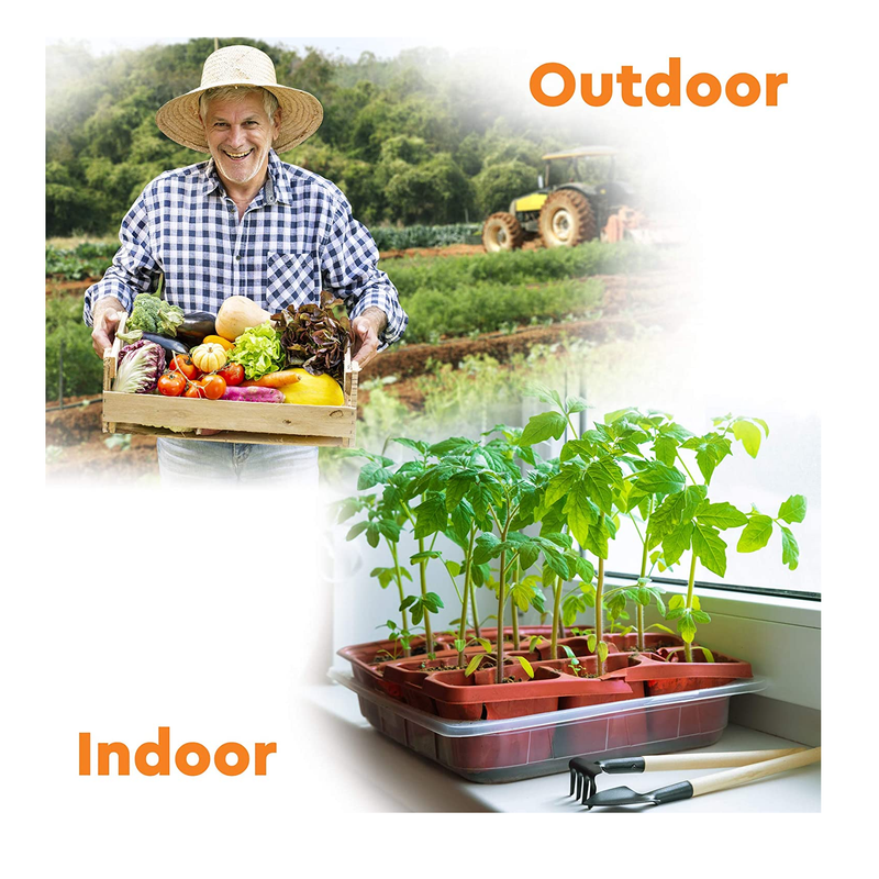 Heirloom Vegetable Seeds | 100% Non-GMO - 1000 Garden Seeds Survival Pack