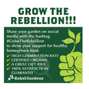 Heirloom Vegetable Seeds for Planting: 13 Varieties of Organic Non-GMO Open Pollinated Garden Seed