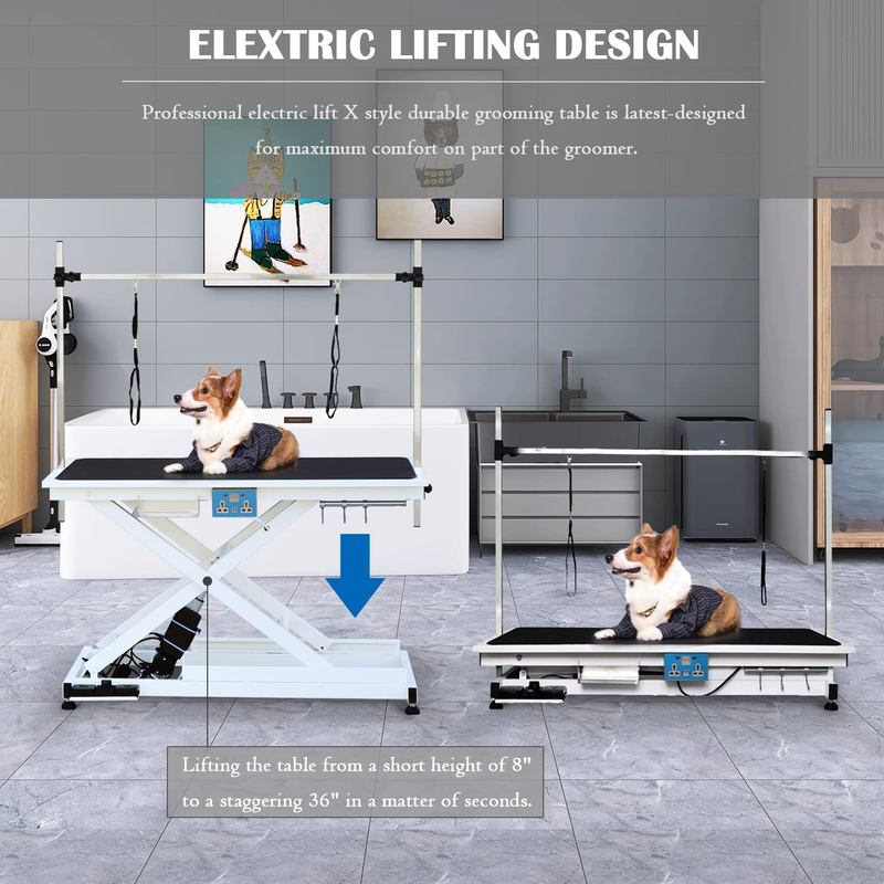 Hipet | Heavy Duty Electric Pet Grooming Table with X-Lift