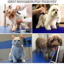 Hipet | Heavy Duty Electric Pet Grooming Table with X-Lift