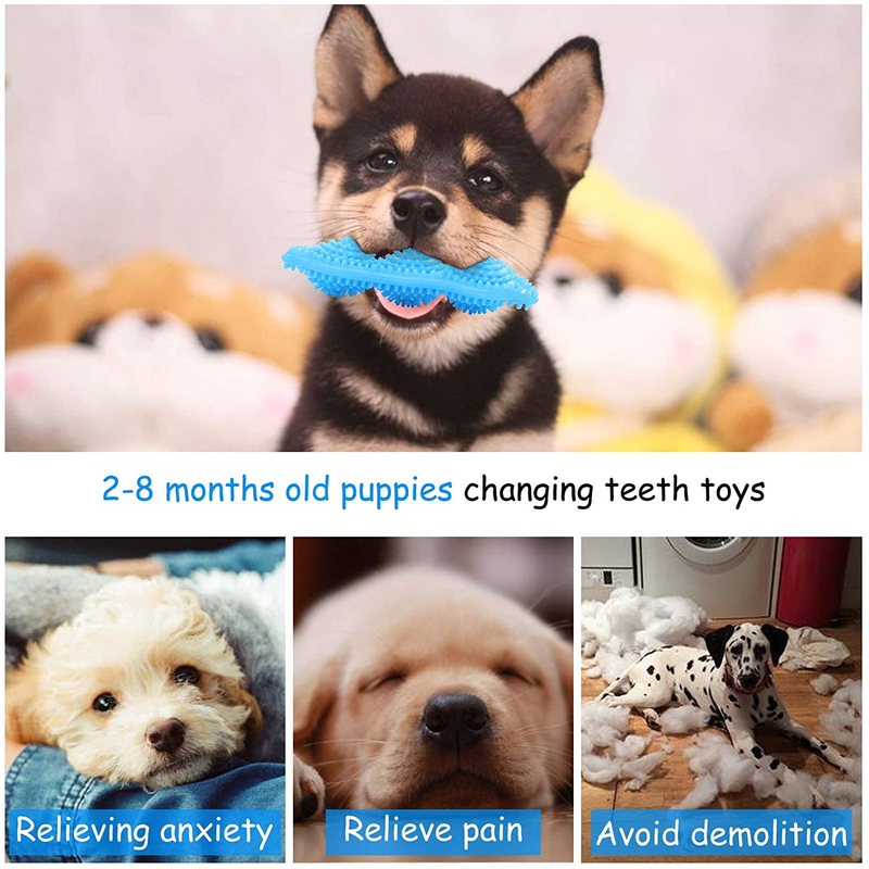 Hurray 3-Pack Small Dog Toys for Puppy Teething Chew Toys