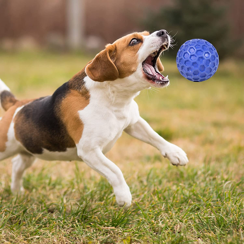 Indestructible Squeaky Dog Toys for Aggressive Chewers