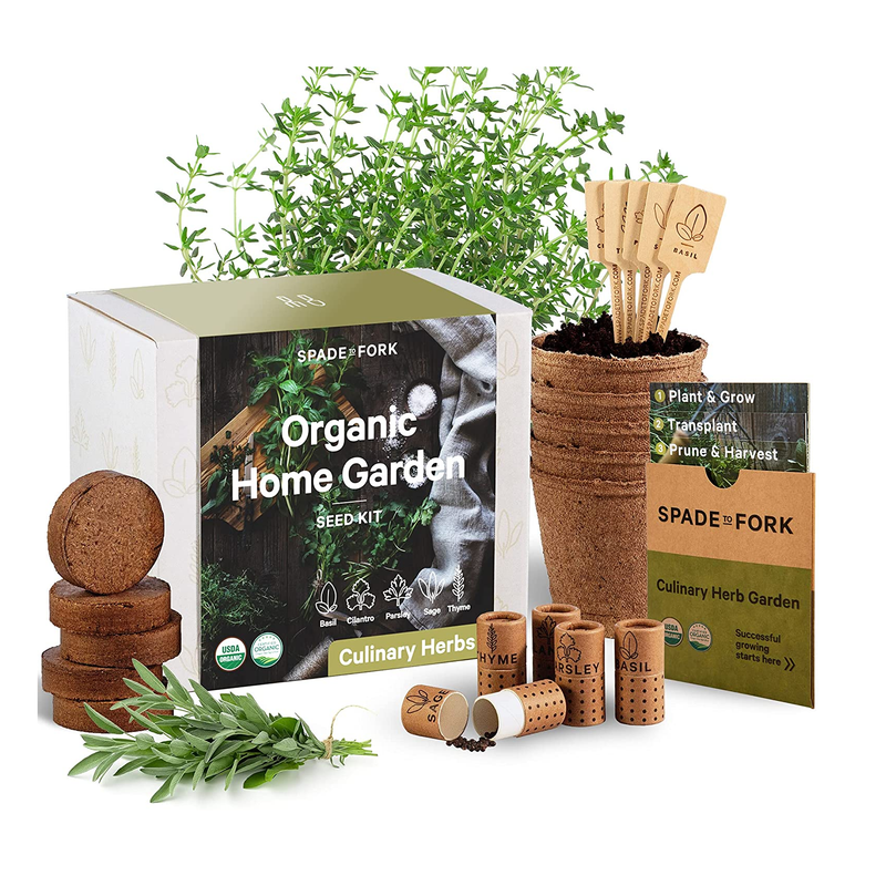 Indoor Herb Garden Starter Kit | Certified USDA Organic Non GMO | 5 Herb Seed