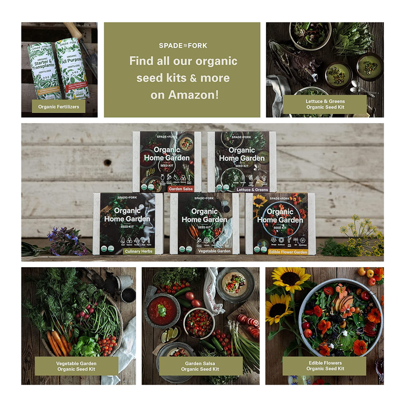 Indoor Herb Garden Starter Kit | Certified USDA Organic Non GMO | 5 Herb Seed