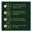 Indoor Pepper Seed Starter Kit | Pepper Growing Kit with 4 Non-GMO Hot Pepper Seeds