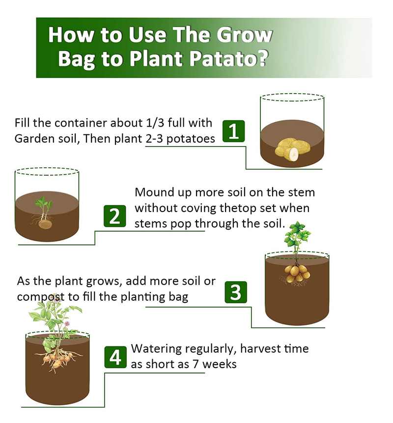 Potato Grow Bags: 4 Tips for Growing Potatoes in a Bag - The garden!