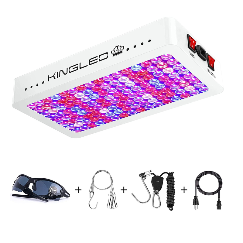 KingLED Newest LED Grow Lights with LM301B LEDs and 10x Optical Condenser 4x4 | Full Spectrum Grow Lights