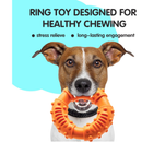 LEGEND SANDY Teething Puppy Chew Toys Pack of 14 Toys