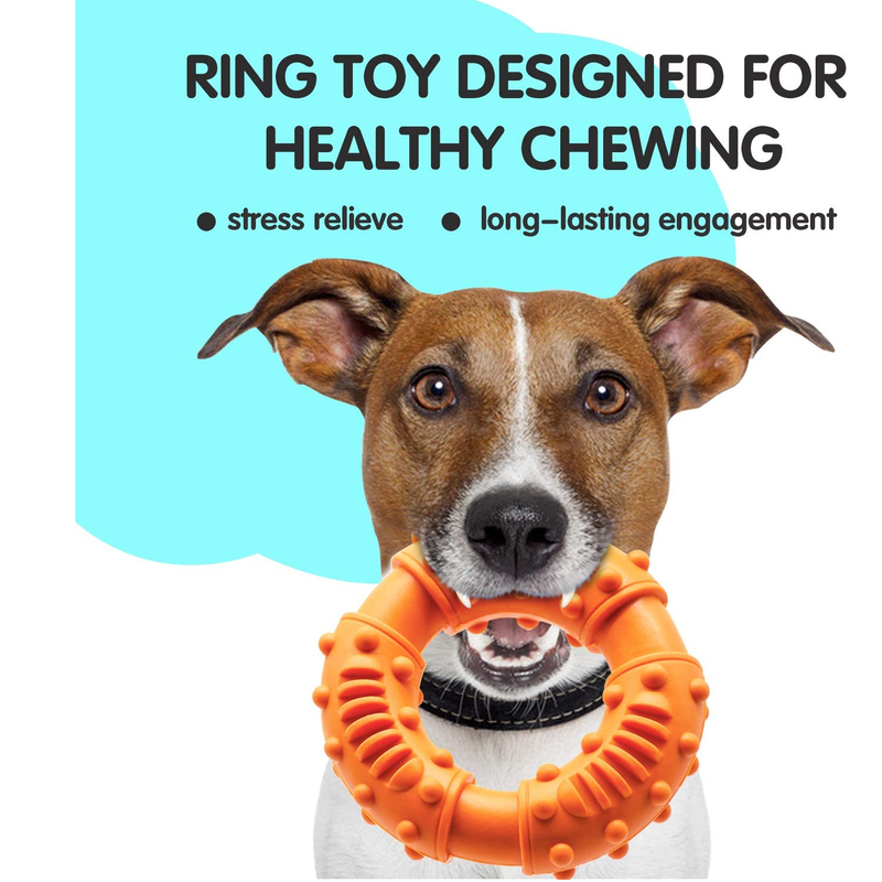 https://freshsshoe.com/cdn/shop/products/LEGENDSANDYTeethingPuppyChewToysPackof14Toys_2_800x.png?v=1655861208