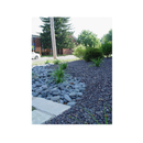 LF Inc. Premium Large Mexican Beach Stones | for Decoration