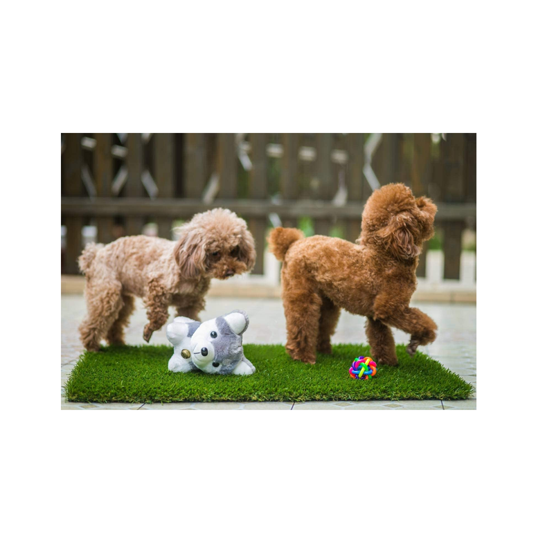 MTBRO Professional Artificial Grass for Dogs | Outdoor Pad