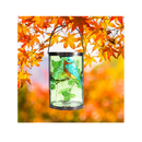 MUMTOP Solar Lantern | Outdoor Pendant |Decorative Waterproof LED Solar Bluebird | Table Lamp for Garden