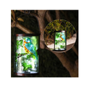 MUMTOP Solar Lantern | Outdoor Pendant |Decorative Waterproof LED Solar Bluebird | Table Lamp for Garden