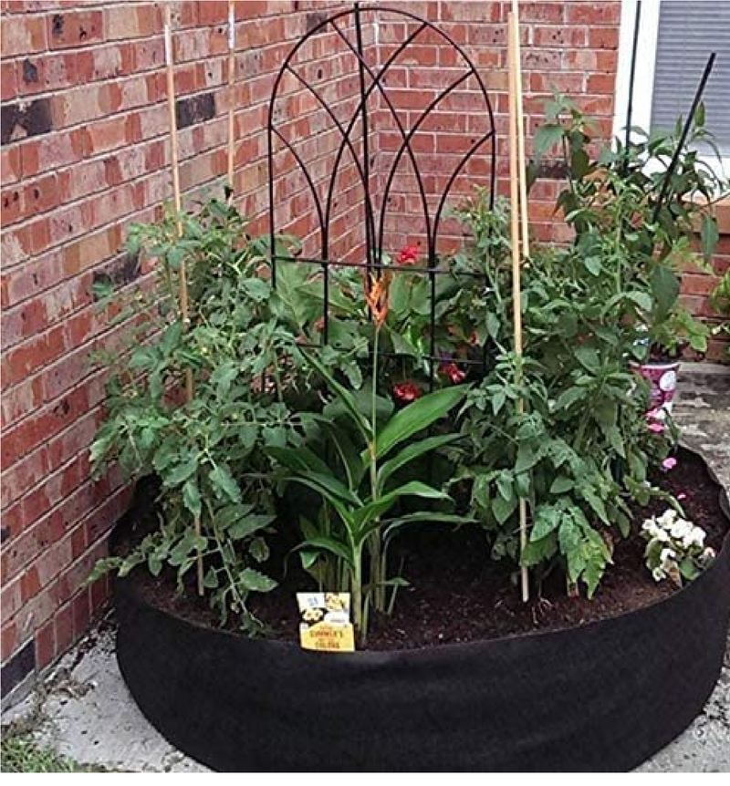 Maius Raised Garden Bed | 15/50/100 Gallon Grow Bags