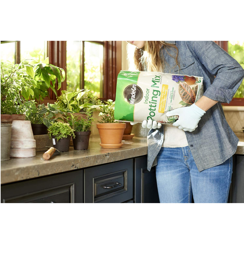 Miracle-Gro Indoor Potting Mix 6qt | Grow Beautiful Indoor Plants