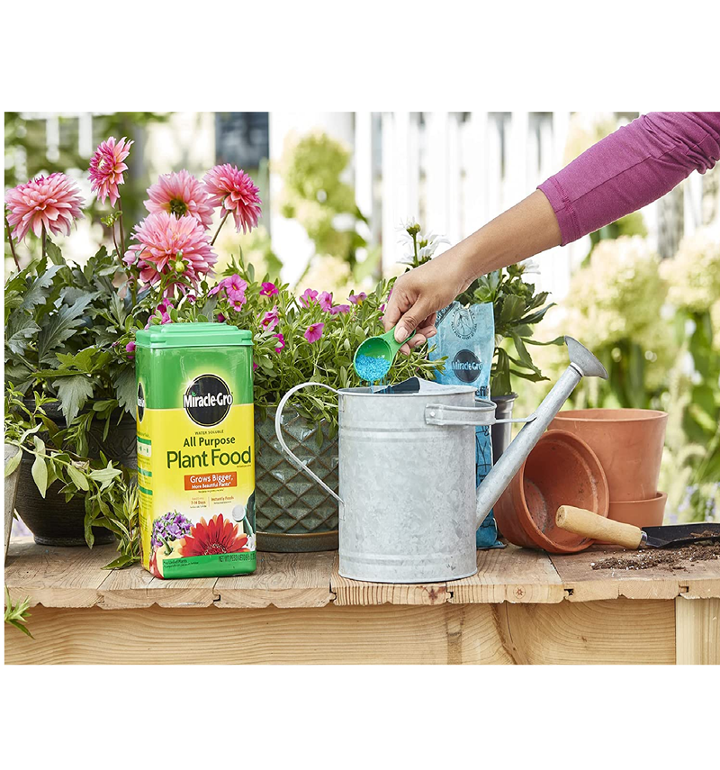 Miracle-Gro Water Soluble All-Purpose Plant Food