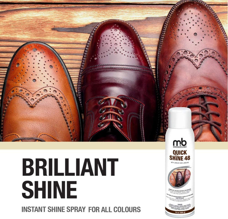 Moneysworth & Best Shoe Care Quick Shine 48