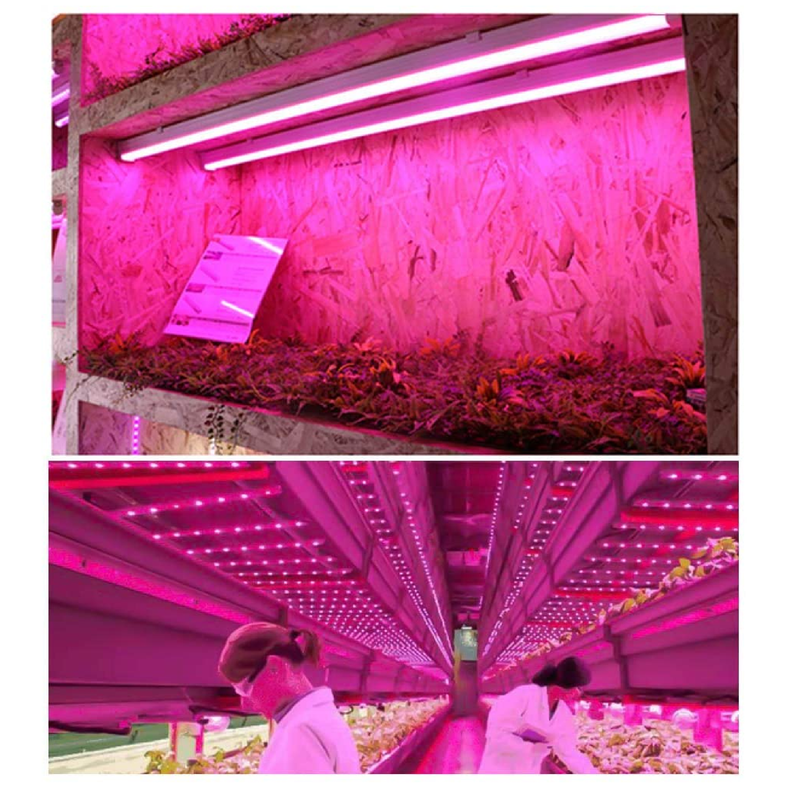 Monios-L T5 Grow Lights 4ft | LED Plant Grow Light | 120W (6 x 20W)