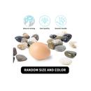 OUPENG Mixed Color Natural Gravel Polished Pebbles |Decorative River Rock