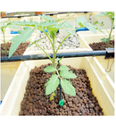 Onetour Hydroclay Premium Hydroponics Clay Pellets Substrate 10 Liters