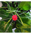 Optimisland Drip Irrigation Kit Irrigation System