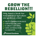 Organic Garden Greens Vegetable Seeds | 8 Varieties of Heirloom | Non-GMO Salad Green Seeds