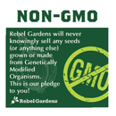 Organic Garden Greens Vegetable Seeds | 8 Varieties of Heirloom | Non-GMO Salad Green Seeds