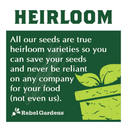Organic Garden Greens Vegetable Seeds | 8 Varieties of Heirloom | Non-GMO Salad Green Seeds