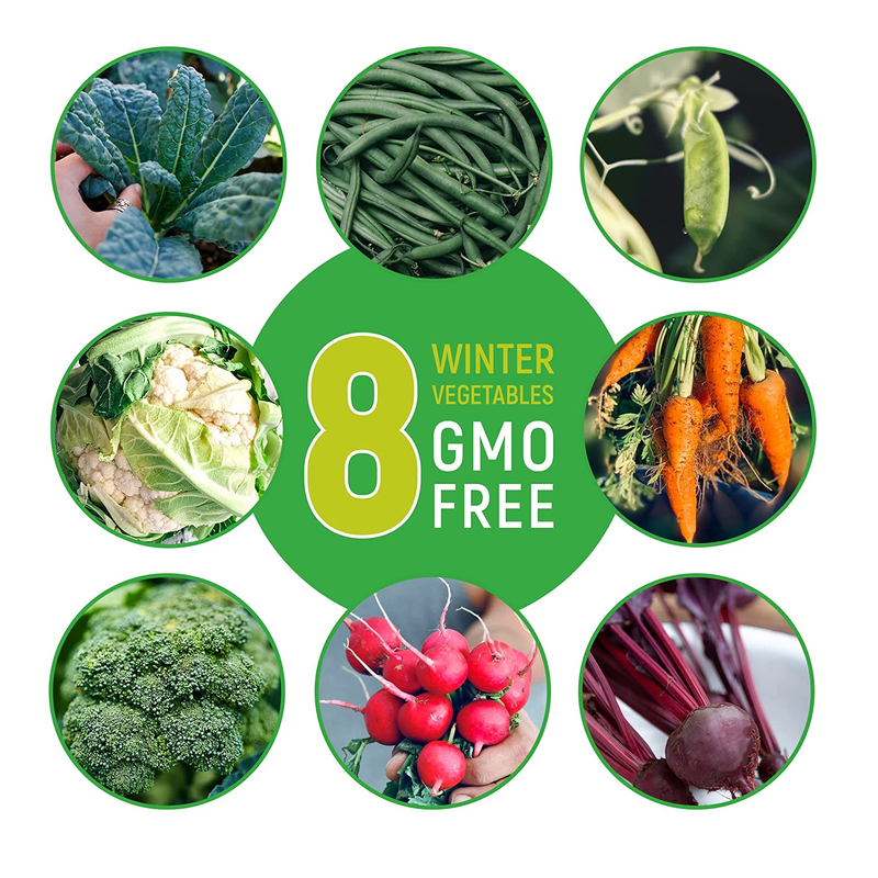 Organic Winter Vegetable Seeds | Heirloom Seed Set with Vegetable Seeds for Planting Home Garden