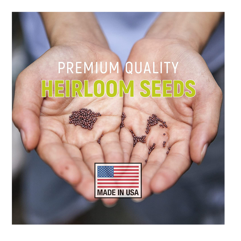 Organic Winter Vegetable Seeds | Heirloom Seed Set with Vegetable Seeds for Planting Home Garden