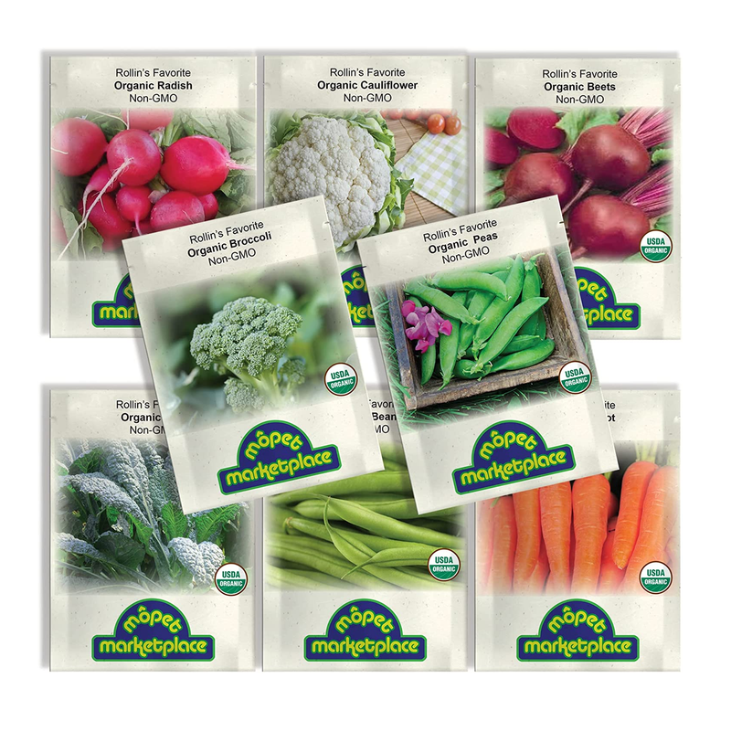Organic Winter Vegetable Seeds | Heirloom Seed Set with Vegetable Seeds for Planting Home Garden