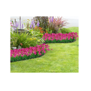 Ouddy Outdoor Artificial Flowers | UV Resistant | Flowers That Do Not Fade | Synthetic Plastic Flowers | Green Bushes For Garden| Porch| Window| Home Decor | 12 Packs