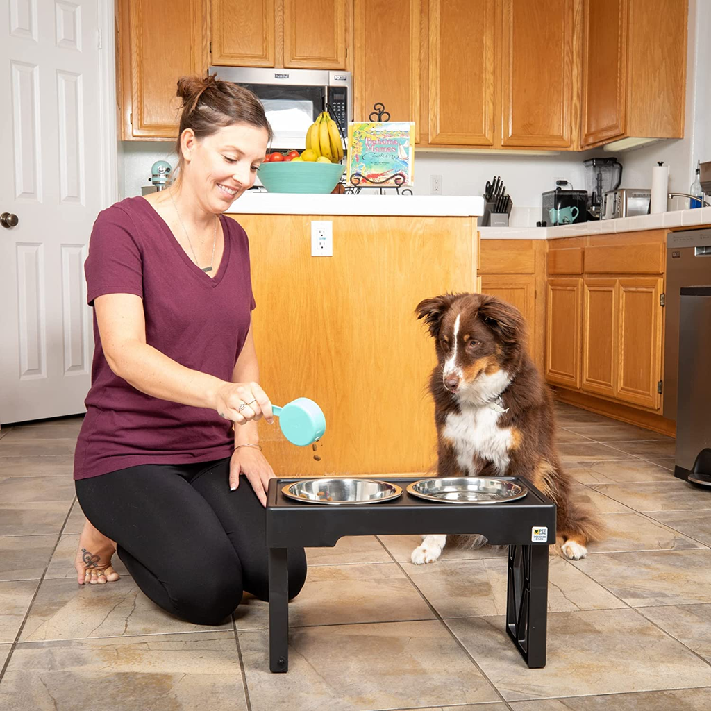 Pet zone sales adjustable dog feeder