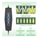 Plant Grow Light for Indoor Plants Full Spectrum with Timer for Your Indoor Garden