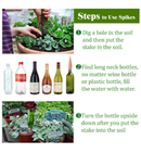 Plant Watering Devices, 6-Pack | Terracotta