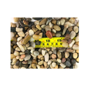 RG() Polished Mixed Color Stones Small Decorative River Rock Stones 1LBS |Small | 1 Pack