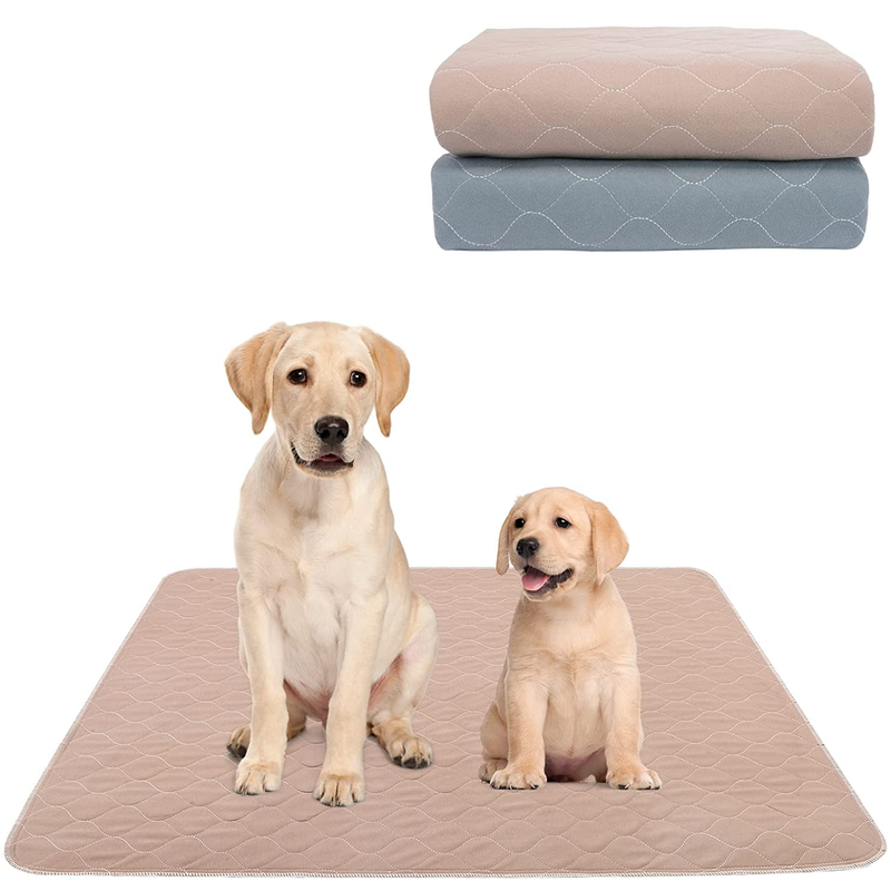 https://freshsshoe.com/cdn/shop/products/ReusableWashableDogPads_2-Pack_WaterproofPuppyPads_1_800x.png?v=1655861367