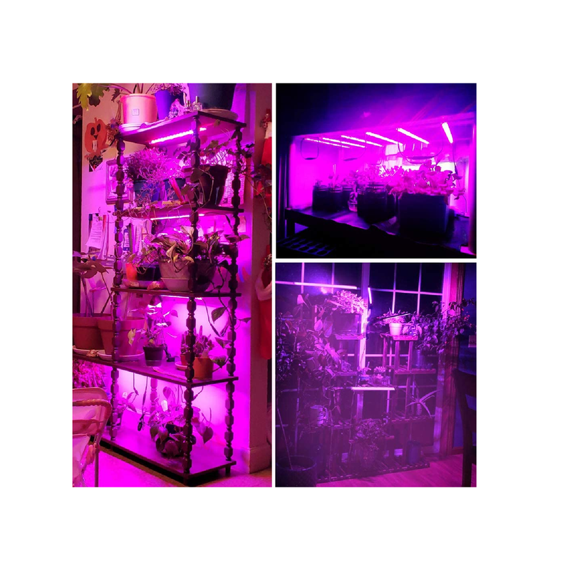 Roleandro Led Grow Light Strips for Indoor Plants | Full Spectrum Auto On & Off T5 Grow Lamp | 6 Pack