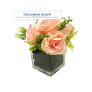 Royal Imports Decorative River Stones for Garden Filled With Gravel | Home Decor