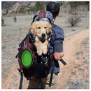 SLSON | Collapsible Dog Bowl - 2 Pack Collapsible Water Bowls for Dogs and Cats