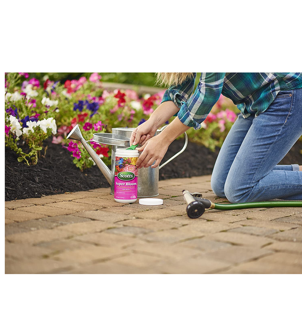 super bloom plant fertilizer Scotts Super Bloom Water Soluble Plant Food