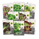 Seed Needs, Lettuce Lovers Seed Packet Collection | 8 Varieties of Heirloom Lettuce Seeds for Planting