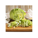 Seed Needs, Lettuce Lovers Seed Packet Collection | 8 Varieties of Heirloom Lettuce Seeds for Planting