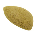 Ortho Scaphoid Pads Buffed (