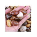 Skullis River Rocks Outdoor Garden Pebbles | Natural Decorative Stones
