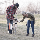 SportDOG Brand Competition Mega Whistle | Dog Training Whistle