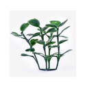 Sunnyglade Artificial Boxwood Panels Hedge Plant | for Exteriors and Interiors