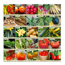 Survival Essentials 100 Variety Premium Heirloom Non Hybrid Non GMO Seed Bank | 17,880+ Seeds - All In One Super Value Pak