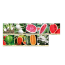 Survival Essentials 144 Variety Ultimate Heirloom Seed Vault for Survival and Preparedness | 23,335+ Non-GMO Heirloom Seeds Packed in Superior Ammo Can for Long